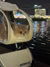 DO DO PET寵物推車(chē)中小型犬折疊貓咪狗狗手推車(chē)貓包可分離外出小推車(chē)遛狗車(chē) 透明色【搖籃可分離】鋁合金車(chē)架 建議狗狗10斤內，貓咪1-2只 曬單實(shí)拍圖