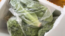 綠食者 沙拉蔬菜組合3.5斤 新鮮苦菊綠葉紅葉生菜西餐沙拉健康輕食蔬菜 蔬菜沙拉組合3.5斤【無沙拉醬】 曬單實拍圖