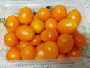 京喜加夏日陽(yáng)光小番茄黃色迷戀圣女果即食水果小柿子現摘現發(fā)減肥 黃色圣女果一斤裝 曬單實(shí)拍圖