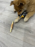 HELLOJOY狗狗零食大禮包800g 寵物零食泰迪幼犬磨牙棒牛肉條雞肉干鴨肉干 曬單實(shí)拍圖