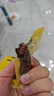 科爾沁 手撕風(fēng)干牛肉干 原味500g 量販裝 休閑零食肉干肉脯特產(chǎn)禮品 曬單實拍圖