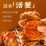 船歌魚(yú)水餃 蟹黃大蝦水餃240g12只 健康早餐夜宵 海鮮手工速凍餃子 生鮮速食 曬單實(shí)拍圖