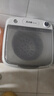 志高【熱銷Top1】脫水機單甩干脫水機干桶甩干機小型迷你家用甩干桶出租房宿舍大容量脫水桶烘干 8.6KG 【不銹鋼桶加厚款】質(zhì)保三年 曬單實拍圖