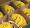 佳沛（zespri）新西蘭陽(yáng)光金果10個(gè)裝單果重約101-124g 中秋水果禮盒 獼猴桃 曬單實(shí)拍圖