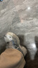 駱駝（CAMEL）星途2.0男鞋女鞋復古休閑厚底增高老爹運動(dòng)鞋子 7038，銀白/黑，女 36 曬單實(shí)拍圖