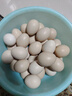 貴州谷物鮮雞蛋精選大蛋柴雞蛋農(nóng)家散養(yǎng)柴雞蛋笨雞蛋50g/枚 谷殼包裝當(dāng)天鮮雞蛋30枚50g/枚 曬單實(shí)拍圖