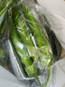  大芹菜約400g 曬單實(shí)拍圖