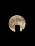 FFALCON雷鳥(niǎo)F5 23.8英寸100Hz MiniLED辦公電腦顯示器 99%SRGB 萊茵護眼認證 電競顯示屏 高亮不反光 一級能效 曬單實(shí)拍圖