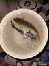 小鳳仙OLED雙排尾行程浮漂夜光漂S3-DF03日夜兩用雙排燈【吃鉛2.2g】 曬單實(shí)拍圖