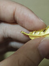 周生生 羽毛黃金吊墜愛(ài)情密語(yǔ)足金丘比特之羽不含項鏈 86820P計價(jià) 4.47克(含工費240元) 曬單實(shí)拍圖