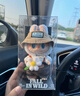 正版現貨MOKOKO春日拉布布夏日派對大甜心小甜心labu毛絨搪膠吊卡 春天野在家掛件【17cm】+保護罩 正品現貨【支持鑒定】 曬單實(shí)拍圖