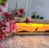 赟婭燈光畫(huà)小夜燈擺件無(wú)線(xiàn)充多功能床頭燈女生閨蜜創(chuàng  )意生日禮物伴手禮 帆船【寓意一帆風(fēng)順】 曬單實(shí)拍圖