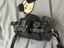 尼康（Nikon）【價(jià)保11.11】Z50II（Z50ii/ Z502 / Z50二代 )入門(mén)級微單套機 （Z DX 16-50mm+50-250mm 雙鏡頭） 曬單實(shí)拍圖