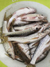 民間藝人咬鉤變色夜光漂日夜兩用電子漂高靈敏醒目魚(yú)漂大物黑坑夜釣浮漂 HK00長(cháng)58CM吃鉛2.27日夜兩用變色 曬單實(shí)拍圖