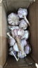 康田匯陜西2025干新鮮感大蒜現(xiàn)挖新蒜紫皮大蒜批發(fā)鮮蒜紅皮蒜干蒜 2.5斤單果4-5CMM凈重2斤 曬單實(shí)拍圖