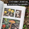 未讀（UnRead）食菌記 識菌、拾菌、食菌的山林記憶  從云南到北京，二十年拾菌專(zhuān)業(yè)戶(hù)的菌類(lèi)筆記 飲食文化 蘑菇 菌子 的歷史文化和科普知識 曬單實(shí)拍圖