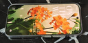 小米（MI）小米 17 Pro 妙享背屏 徠卡光影大師 第五代 驍龍 8 至尊版 白色 16GB+512GB 5G手機 曬單實(shí)拍圖