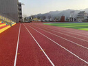 塑膠跑道新國標學(xué)校操場(chǎng)幼兒園公園小區透氣型混合型健身步道 復合型 曬單實(shí)拍圖