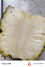 正宗海南金鉆鳳梨新鮮水果當季樹(shù)上熟芒果鳳梨【催熟食用】 1粒裝單果500g-650g【7成熟，催熟再吃】 曬單實(shí)拍圖