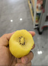 佳沛（zespri）新西蘭 陽光金奇異果12粒禮盒特大果單果約122-146g 獼猴桃 水果 曬單實拍圖