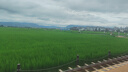 伯希和（Pelliot）雪套戶(hù)外徒步防水防沙防風(fēng)CORDURA耐磨腿套鞋套16403944冰川灰M碼 曬單實(shí)拍圖