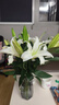 禾之潤香水百合花鮮花云南昆明基地直發(fā)批鮮切家用水養插花 香水百合清香白色15朵 關(guān)注店鋪送進(jìn)口營(yíng)養液 曬單實(shí)拍圖