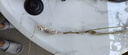 流蘇樹(shù)苗盆栽四季開(kāi)花濃香四季好養室內外植物陽(yáng)臺庭院觀(guān)花卉綠植 新品【紫衣】耐寒耐熱 熱銷(xiāo)款：八年樹(shù)狀獨桿-當年開(kāi)花爆滿(mǎn)【包活】 曬單實(shí)拍圖