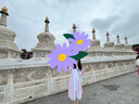 無(wú)印良品（MUJI）女式 水洗 平紋 立領(lǐng)長(cháng)袖連衣裙女裝裙子25年春季連身裙 襯衫裙 淺粉紅色條紋 S （155/80A） 曬單實(shí)拍圖