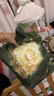 babycare金山茶花紙尿褲L40片(9-14kg)嬰兒尿不濕超薄透氣新生柔花苞褲 曬單實(shí)拍圖