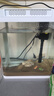 寵街坊小魚(yú)缸一體缸自循環(huán)水族箱桌面客廳小型送禮生態(tài)魚(yú)缸造景240 曬單實(shí)拍圖