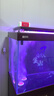 老漁匠魚(yú)缸氧氣泵養魚(yú)超靜音增氧機家用打氧泵交直流充電兩用增氧泵 2025升級款-6W氣泵-水滴納米氣盤(pán)套餐 曬單實(shí)拍圖