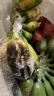 三萌果蔬廣西小米蕉【青蕉發(fā)貨收到需催熟】芭蕉新鮮水果應季香蕉現(xiàn)摘現(xiàn)發(fā) 5斤 優(yōu)選果【粉糯香甜】凈4.5斤 曬單實拍圖