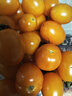 京喜加夏日陽(yáng)光小番茄黃色迷戀圣女果即食水果小柿子現摘現發(fā)減肥 黃色圣女果一斤裝 曬單實(shí)拍圖