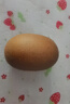 佳沛（zespri）新西蘭  陽(yáng)光金果10粒巨大果單果約144-175g 中秋水果禮盒 獼猴桃 曬單實(shí)拍圖