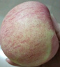 洛川蘋(píng)果 陜西水果紅富士禮盒送禮6枚85~90mm大果新鮮水果生鮮 六六大順禮盒裝 曬單實(shí)拍圖