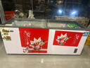 東邁【節能省電款】冰柜商用雪糕冰柜 冰激凌柜 銅管制冷大容量 冷藏展示柜 冰柜展示柜超市圓弧玻璃柜 1.9米銅管雪糕柜【帶深框帶貼畫(huà)】省電款 曬單實(shí)拍圖