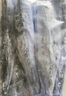 賣(mài)魚(yú)七郎 青島海捕大鲅魚(yú)整條凈重5斤（5-8條）馬鮫魚(yú)海鮮生鮮魚(yú)類(lèi) 曬單實(shí)拍圖