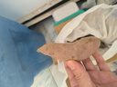 京地達海南板栗薯紅薯 糖心番薯 凈重4.5斤（3-8兩/個(gè)）源頭直發(fā)包郵 曬單實(shí)拍圖