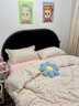 曼克頓（MANKEDUN）A類(lèi)皺皺棉雙層紗全棉鏤空花邊床上四件套單人床單被套床品三件套 花園小兔 四件套1.8 床單款 （被套200*230cm） 曬單實(shí)拍圖