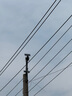網(wǎng)絡(luò )眼4g免費流量太陽(yáng)能攝像頭室外無(wú)電無(wú)網(wǎng)農村戶(hù)外手機遠程高清無(wú)線(xiàn)監控器家用360度無(wú)死角帶夜視全景 【太陽(yáng)能4G版】雙鏡頭+免流量無(wú)需充值+128G 曬單實(shí)拍圖