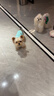 耐吉斯鮮肉Pro夾心凍干狗糧12kg成犬幼犬益生菌鴨肉梨淚痕管理 曬單實(shí)拍圖