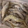 鮮京采 厄瓜多爾白蝦 凈重3斤/盒 特大號20-30規格   30-45只/盒 曬單實(shí)拍圖