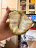 梅時(shí)美季新鮮釋迦果牛奶鳳梨大番荔枝5斤 當季新鮮水果熱帶佛頭摩尼果包郵 750g 牛奶鳳梨釋迦果【實(shí)惠中大果】 曬單實(shí)拍圖