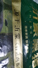 金鑼冷鮮肉 沂蒙山黑豬去皮五花肉1000g 精品五花肉條 生鮮烤肉食材 曬單實(shí)拍圖