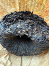 六大茶山溯源-100g勐海普洱沱熟(2007)/核心茶區(qū)大樹曬青茶原料沱茶熟茶 100g勐海普洱沱熟 曬單實拍圖