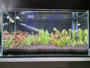 尼特利（NETLEA）水草泥魚(yú)缸凈水營(yíng)養土水族養魚(yú)水藻泥免水洗種植土草缸陶粒底砂 套餐A 曬單實(shí)拍圖