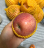 甜醉了 煙臺蘋果棲霞紅富士新鮮水果生鮮山東特產(chǎn)脆甜整箱平果禮盒禮品 紅富士凈重4.5斤75-80mm 曬單實拍圖