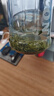 一杯香茶葉綠茶明前嫩芽毛尖茶250g禮盒裝2025新茶春茶散裝自己喝送禮 曬單實(shí)拍圖