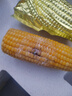 2025年?yáng)|北黃甜糯玉米棒真空包裝低脂黃糯大棒甜東北早餐黏苞米 黃糯玉米3支 150-200克 曬單實(shí)拍圖