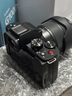 松下（Panasonic）Lumix G100D M43畫(huà)幅相機(jī) M43卡口 微單相機(jī) 無(wú)反數(shù)碼相機(jī) G100D+【12-60mm白盒】單鏡套裝 曬單實(shí)拍圖